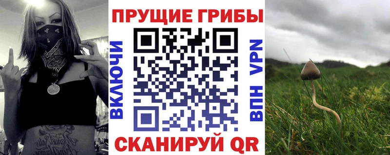 Псилоцибиновые грибы Magic Shrooms  что такое наркотик  blacksprut ссылка  Нерехта 