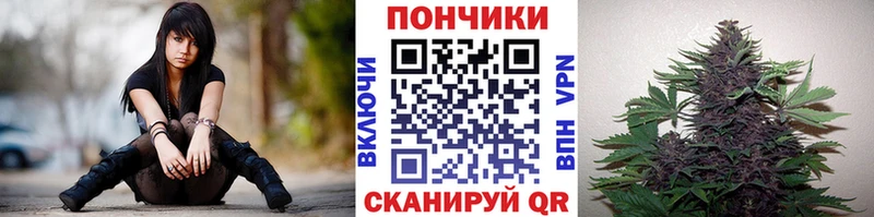 blacksprut ТОР  Нерехта  Каннабис White Widow 